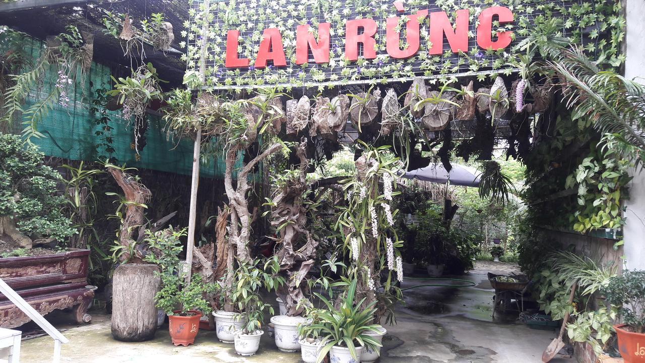 Homestay Lan Rung Nghia Lo 外观 照片