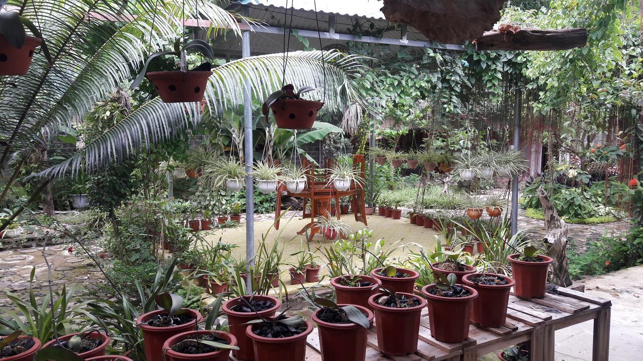Homestay Lan Rung Nghia Lo 外观 照片