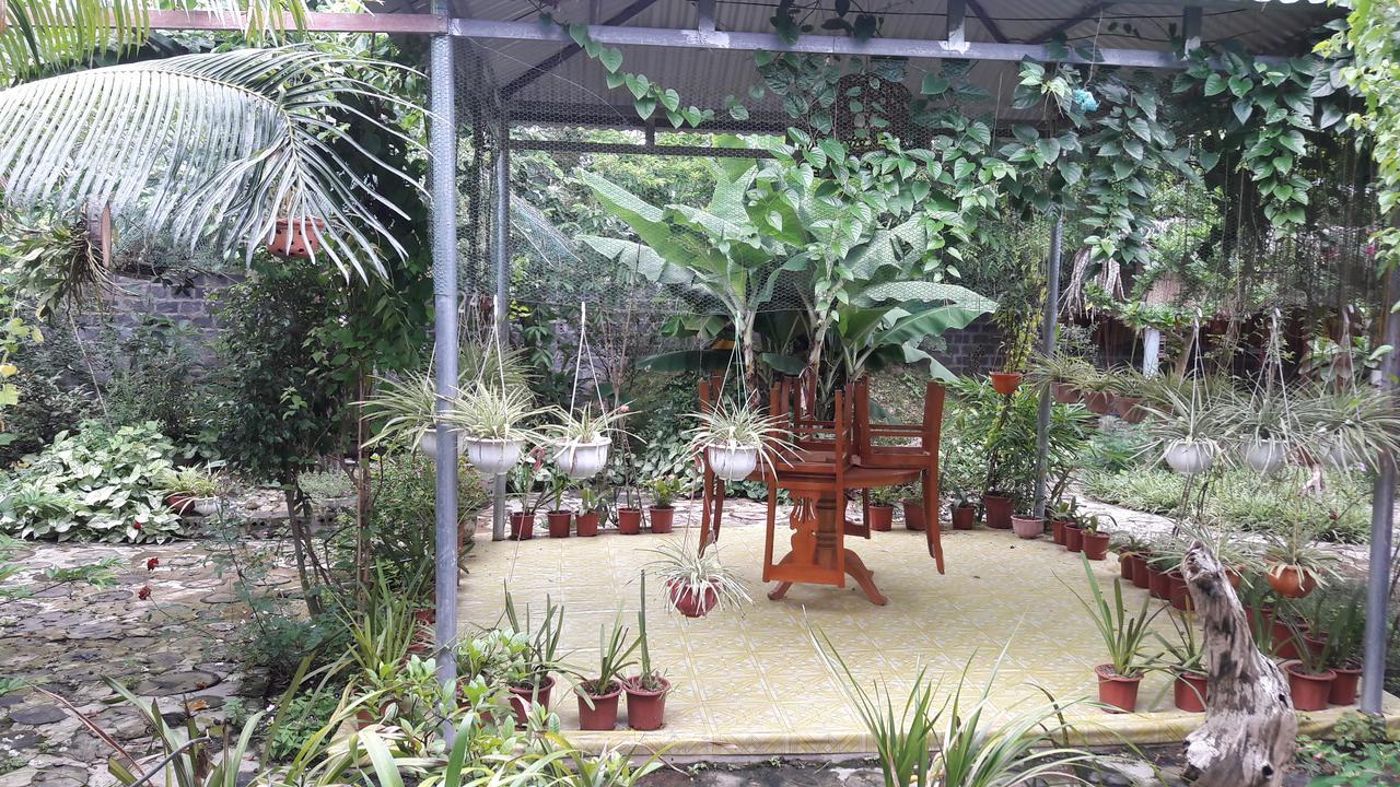 Homestay Lan Rung Nghia Lo 外观 照片